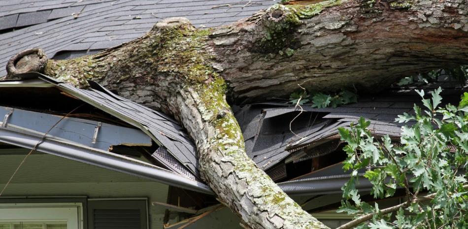 Storm Damage Restoration@1x Storm Damage Restoration@1x